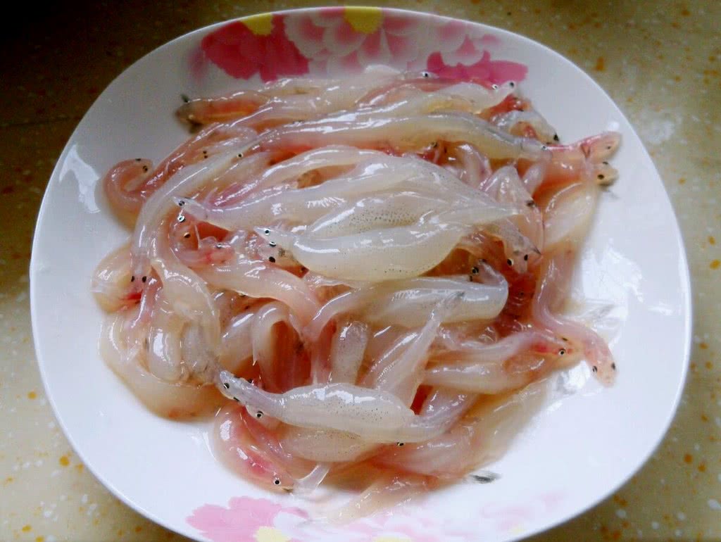 香煎银鱼怎么做_香煎银鱼的做法_豆果美食
