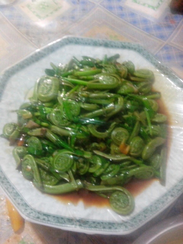 黄瓜香(又叫广东菜)
