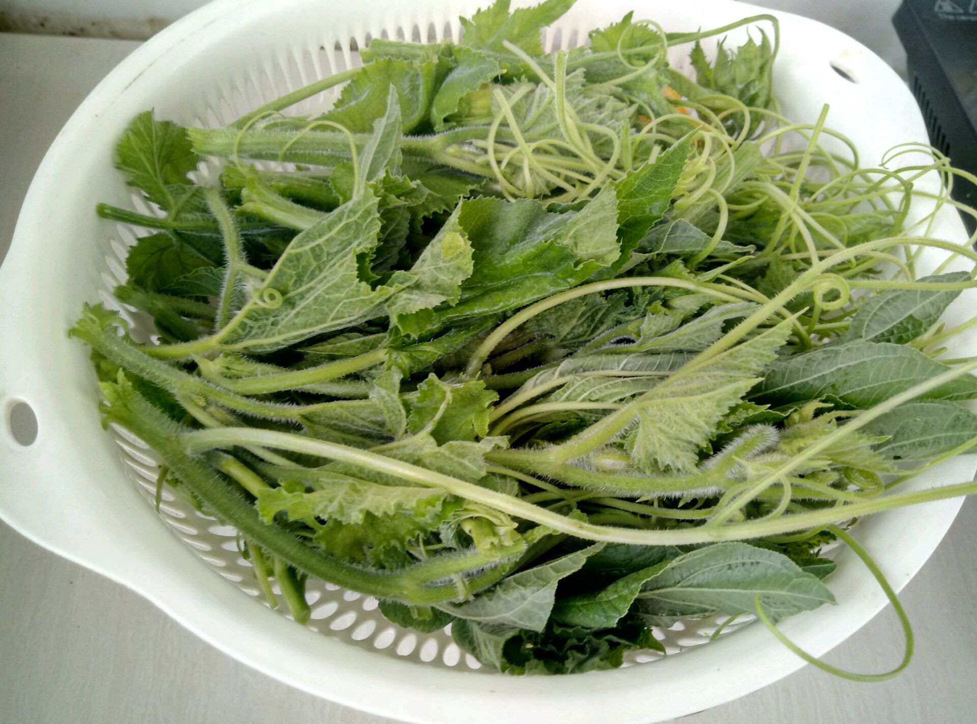 白灼南瓜(秧)尖的做法