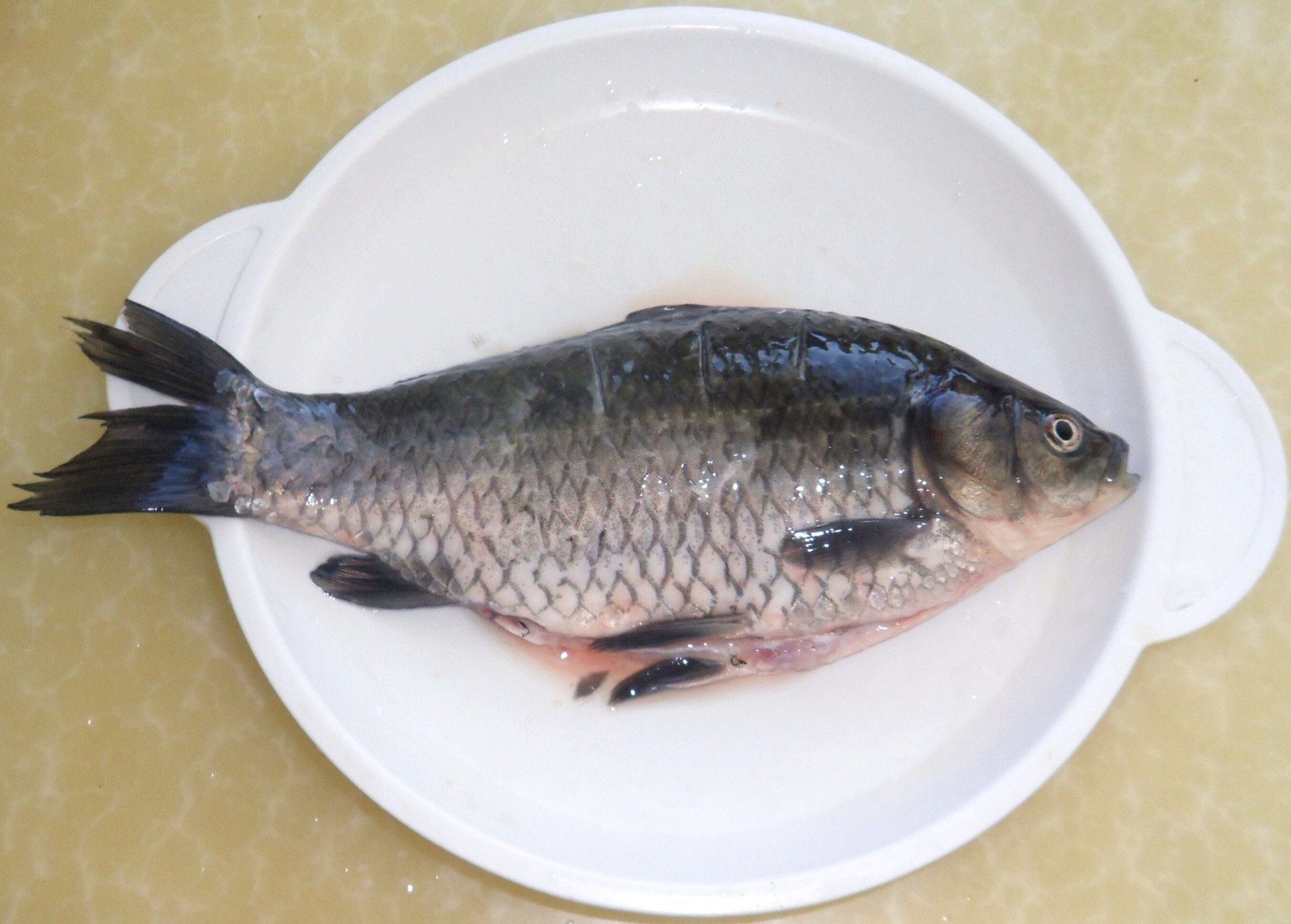 鲫鱼、鲤鱼、草鱼、鲢鱼、青鱼和罗非鱼各自喜欢的饵料味型