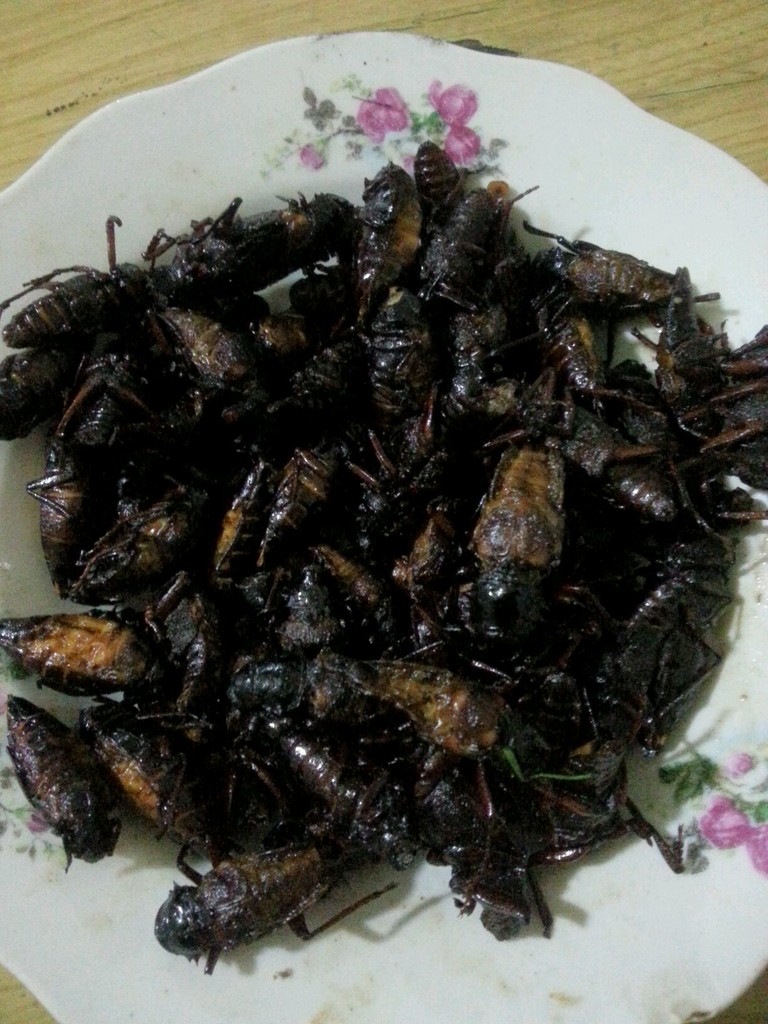 国际卫生组织的一道美味炸虫子----雨后水牛虫