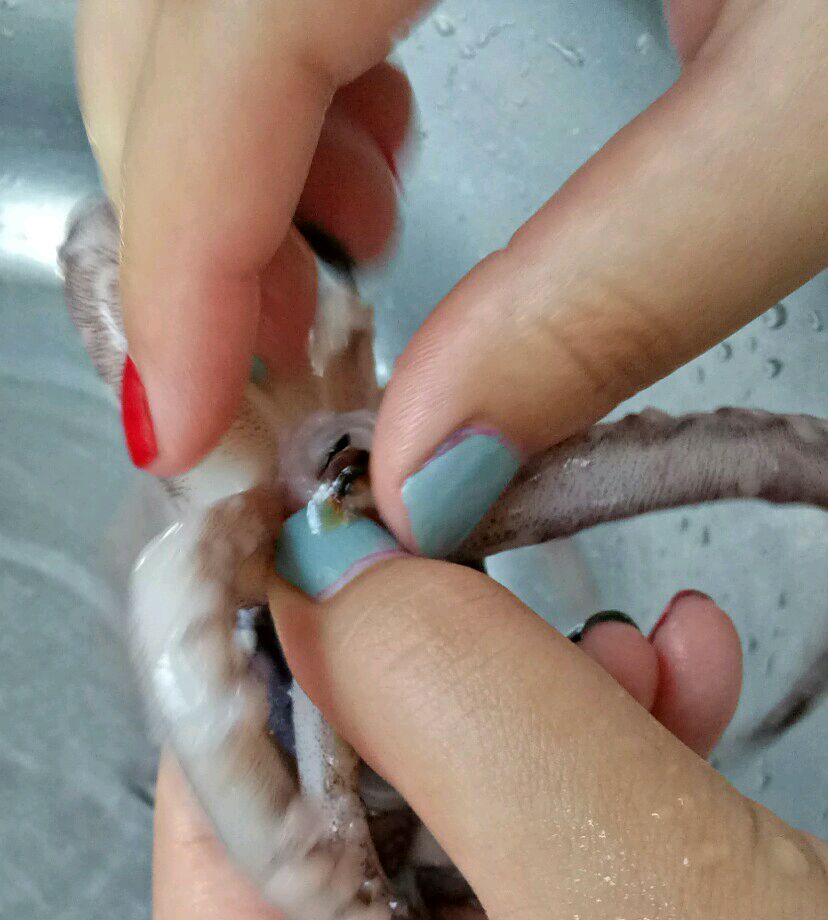 爆炒鱿鱼鱿鱼对洋葱的爱