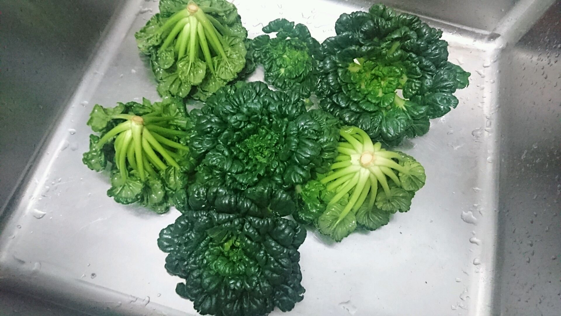 塌棵菜炒冬笋【素食】