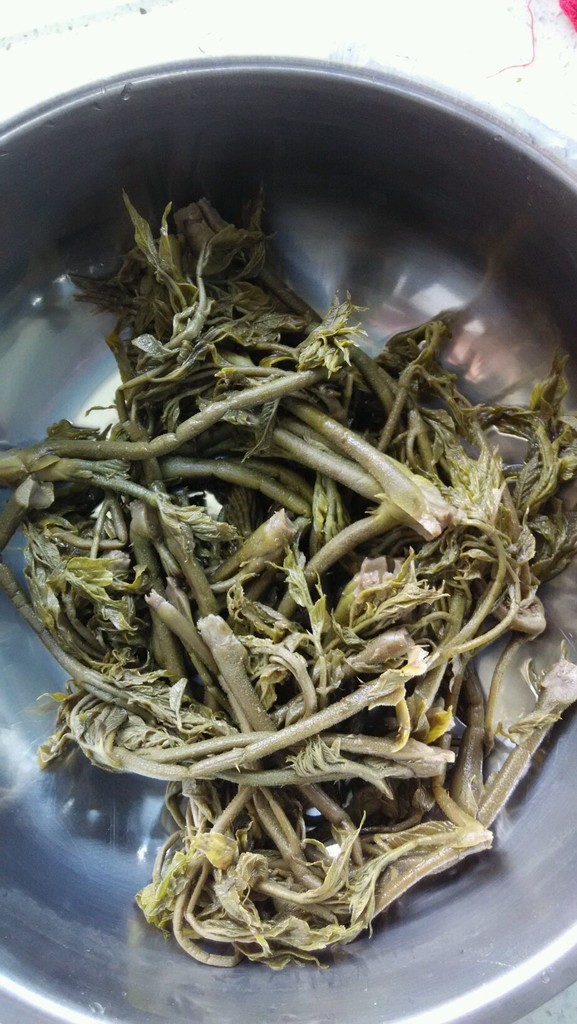 干炸刺老芽