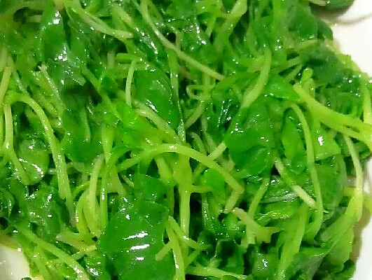白灼萝卜苗怎么做_白灼萝卜苗的做法_豆果美食