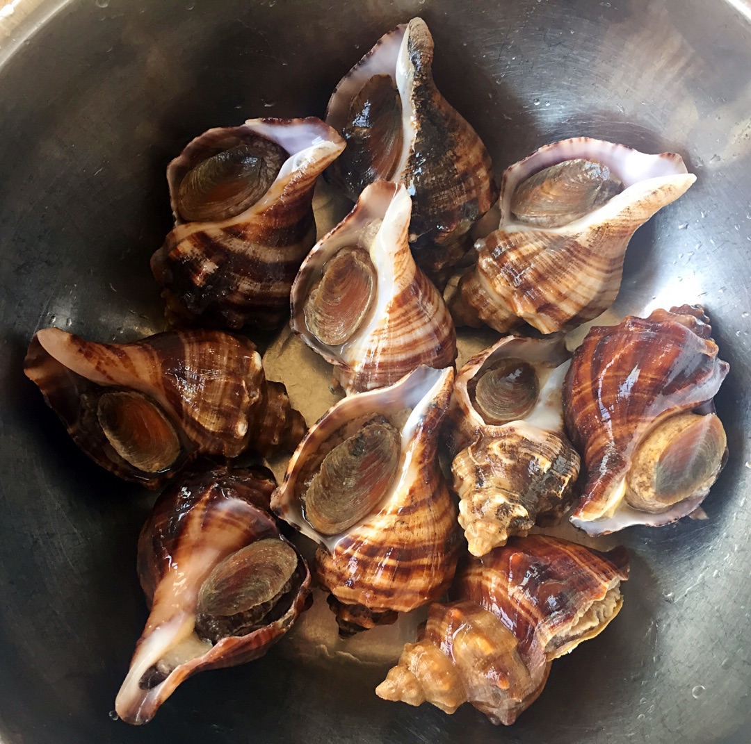 煮海螺怎么做_煮海螺的做法_豆果美食