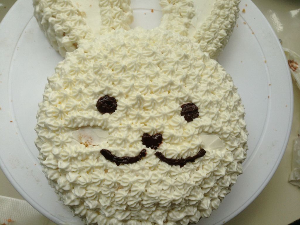 兔子蛋糕怎么做_兔子蛋糕的做法_美美家的厨房_豆果美食