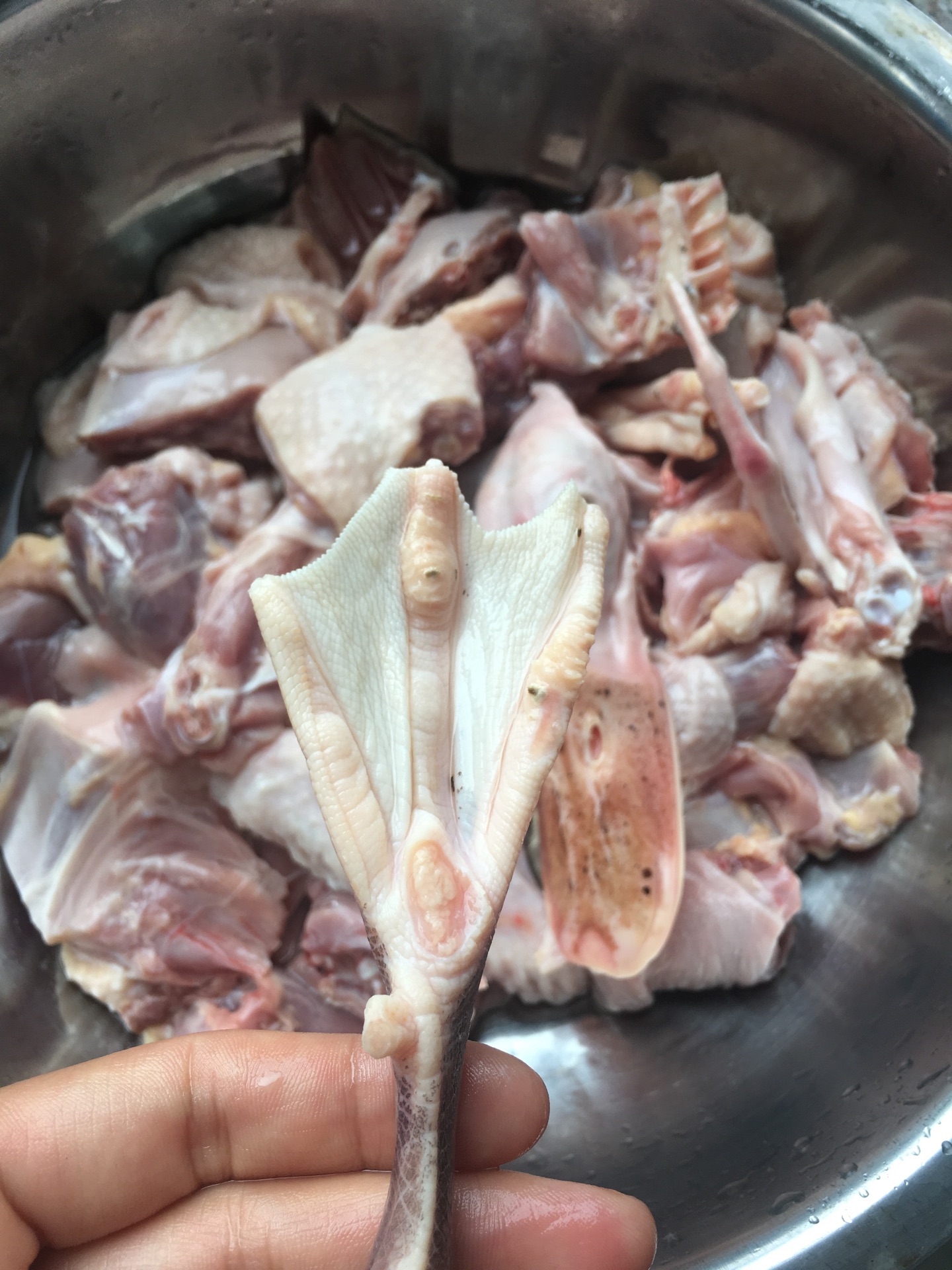 清汤老鸭煲的做法图解1