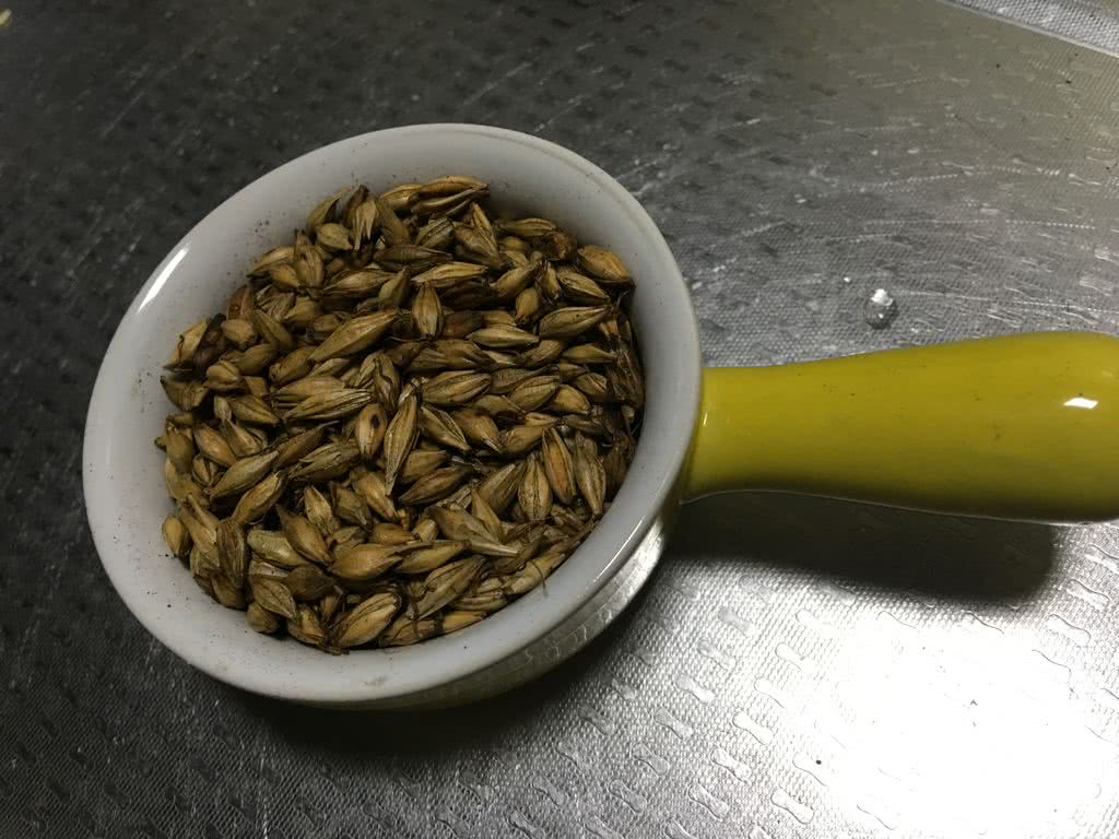 焦麦芽:麦芽晒干,炒焦.