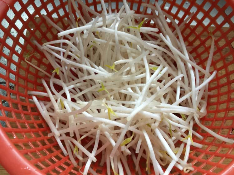 醋溜绿豆芽——瘦身减肥菜的做法图解1