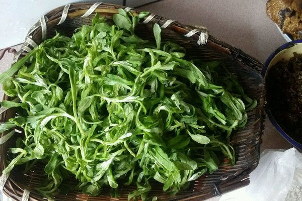 四川清明菜团的做法