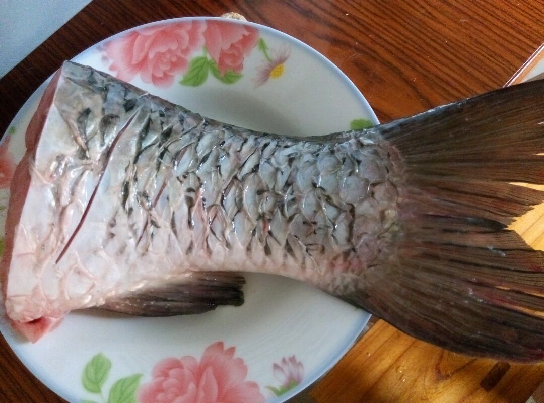 智利三文鱼头鱼尾大西洋鲑鱼非挪威冰鲜鱼头炖汤食材批发-阿里巴巴