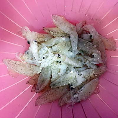 小海兔炖豆腐