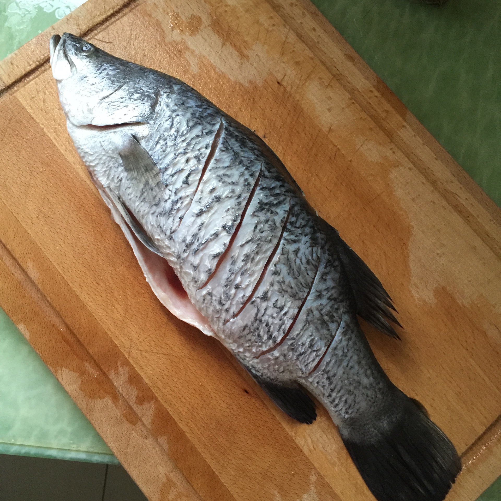 煎焖海桂鱼