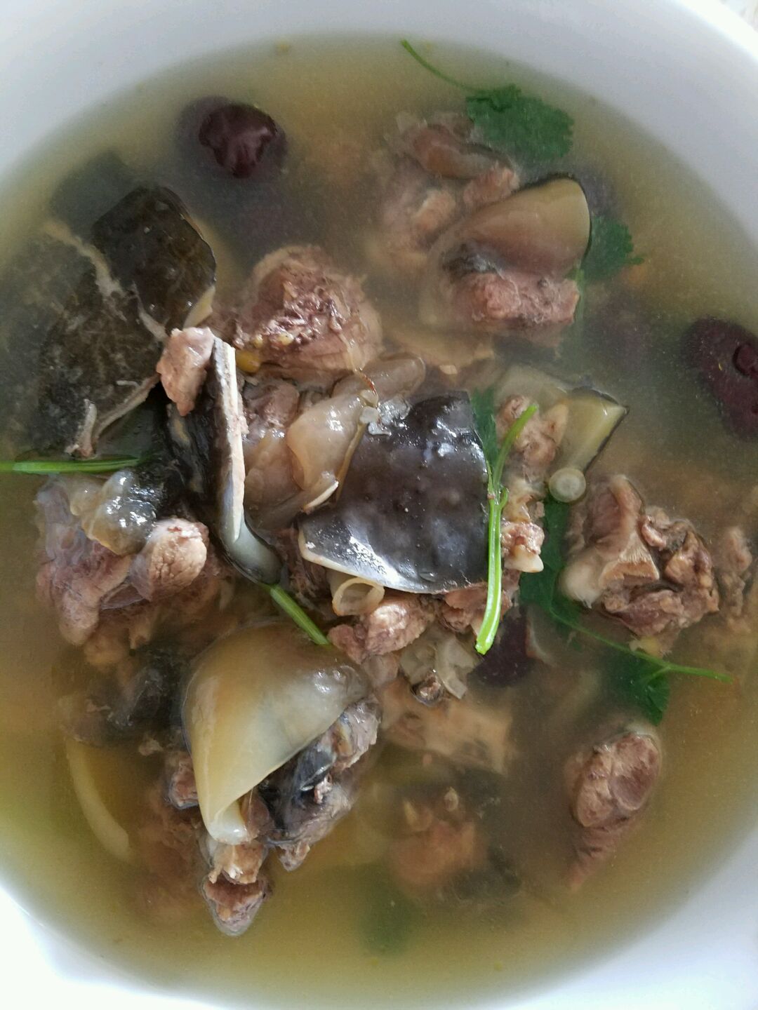 广东甲鱼汤怎么做_广东甲鱼汤的做法_豆果美食