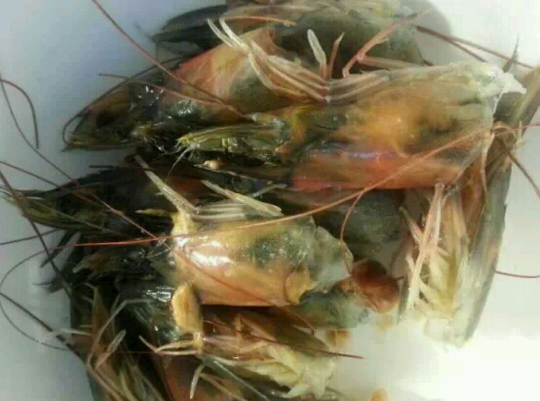 马来西亚虾汤面的做法图解1