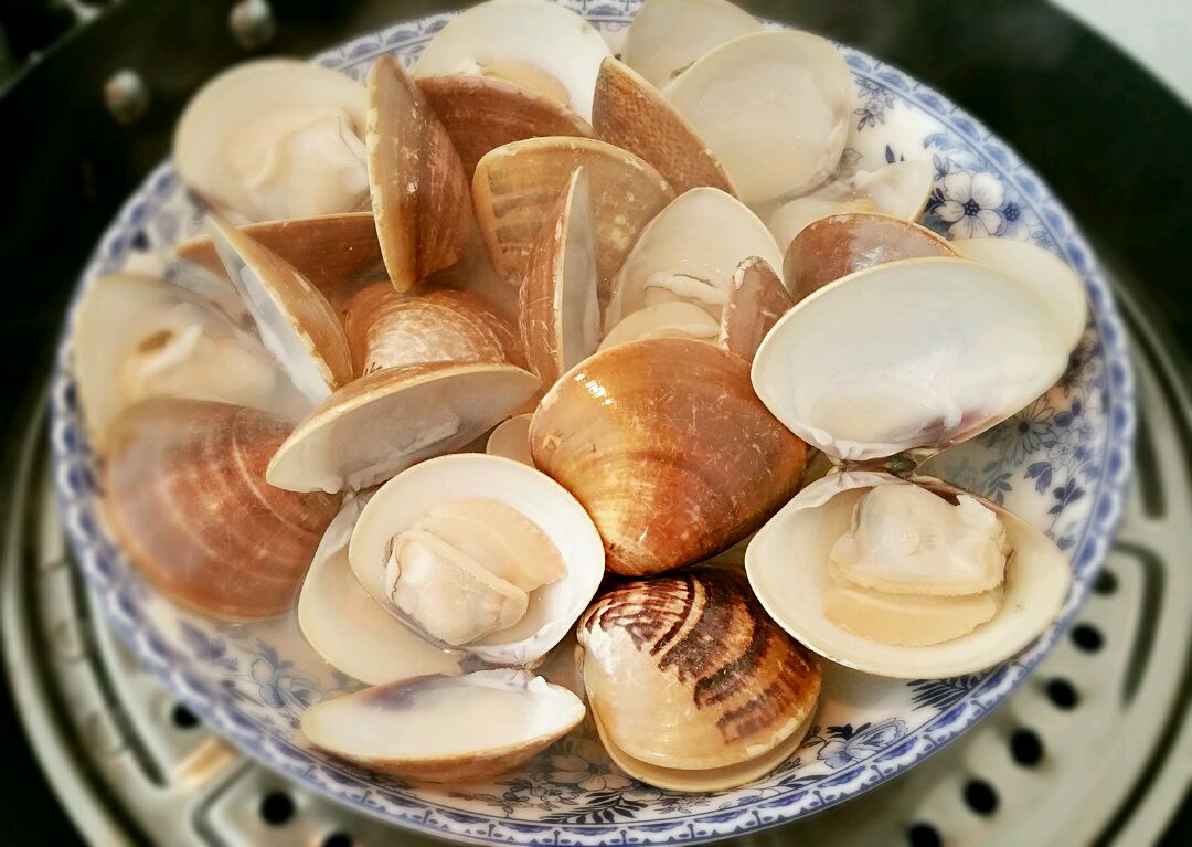 清蒸海贝(原汁原味,汤汁鲜美)