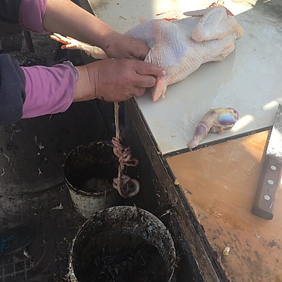 杀鸡