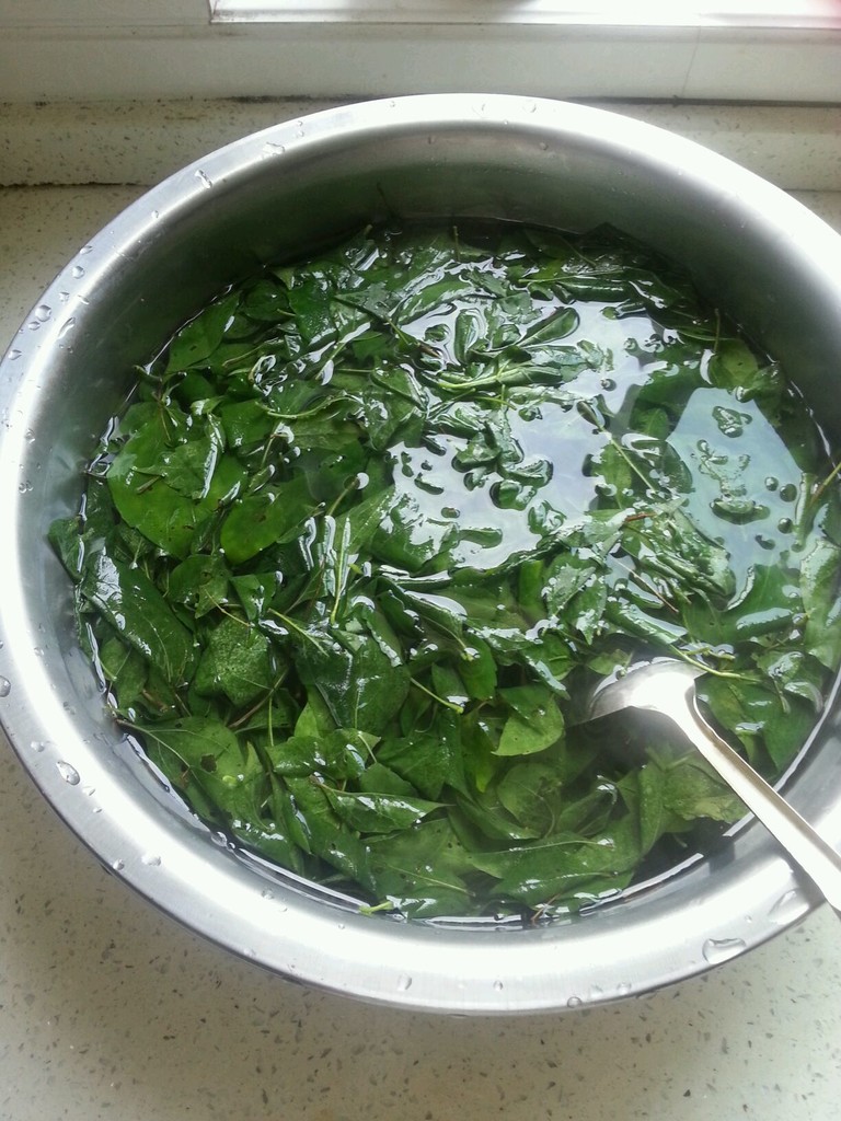 观音豆腐