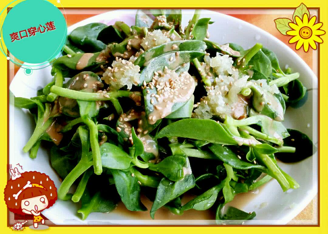 穿心莲怎么做_穿心莲的做法_豆果美食