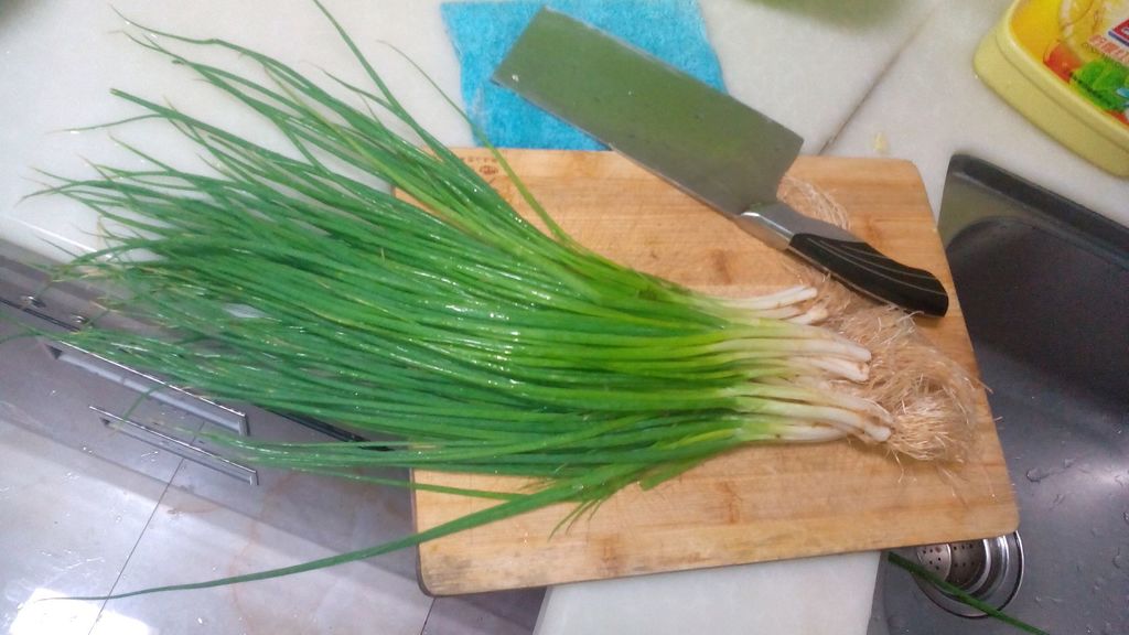 葱花猪肉馅儿饺子