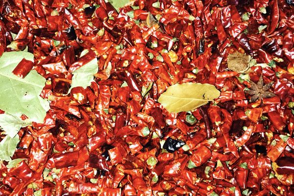 重庆油辣子的做法_【图解】重庆油辣子怎么做