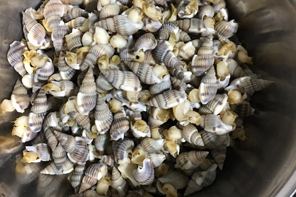 辣炒海螺丝怎么做_辣炒海螺丝的做法_豆果美食