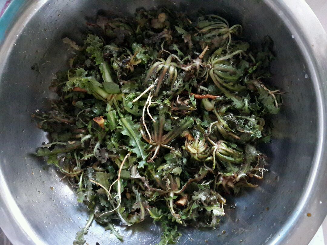 凉拌苦蝶蝶的做法_【图解】凉拌苦蝶蝶怎么做如何做