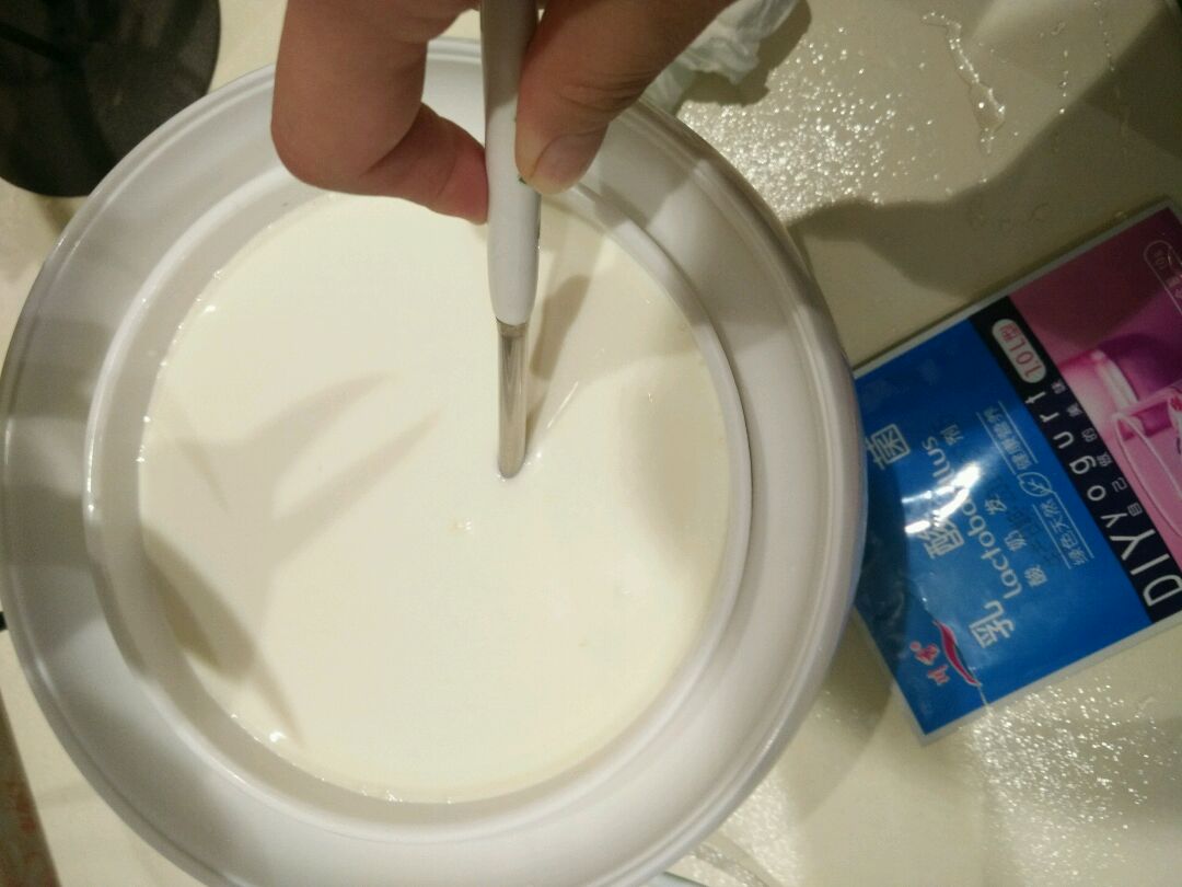 家庭版酸奶的简单制作法