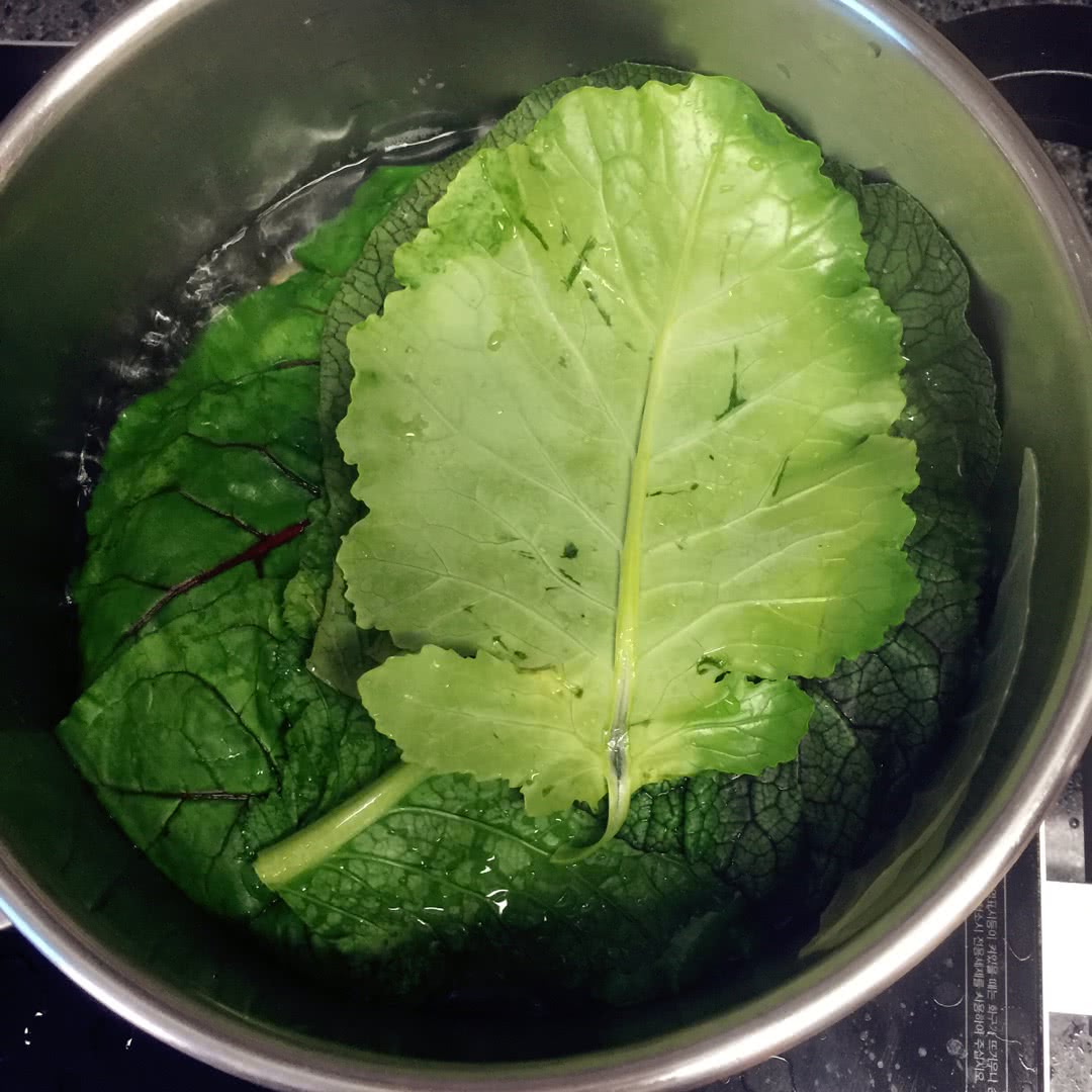 蔬菜饭卷儿