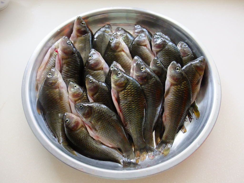 每天都要吃鱼的家庭妈妈分享蒸鱼做法，黄豆酱番茄蒸龙利鱼 - 哔哩哔哩