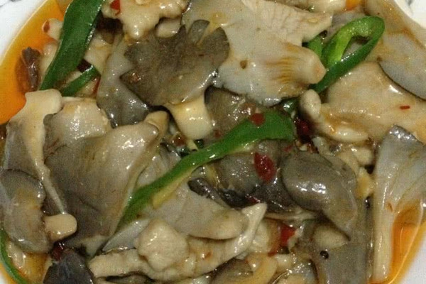 肉片炒平菇粉凤凰绿鲤鱼游戏图片