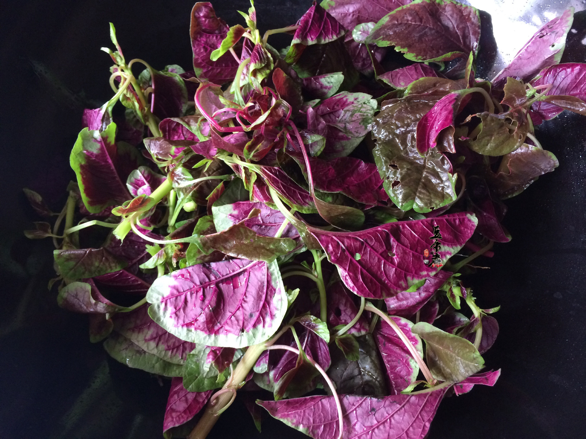紫背菜图片大全,效,红背菜和紫背菜图片_大山谷图库