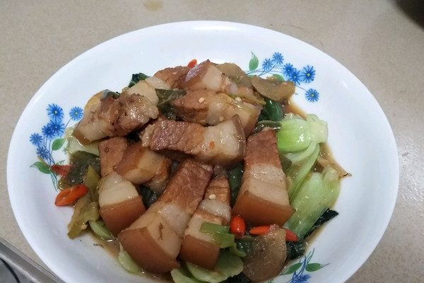 红烧肉盖青菜