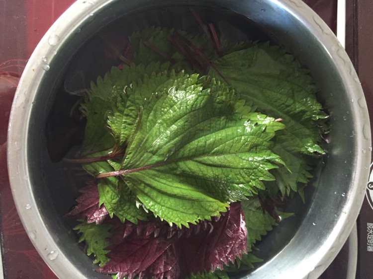 紫苏叶泡菜