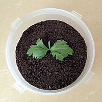 奶油芝士长沙蛋糕培训哪个行业最有潜力