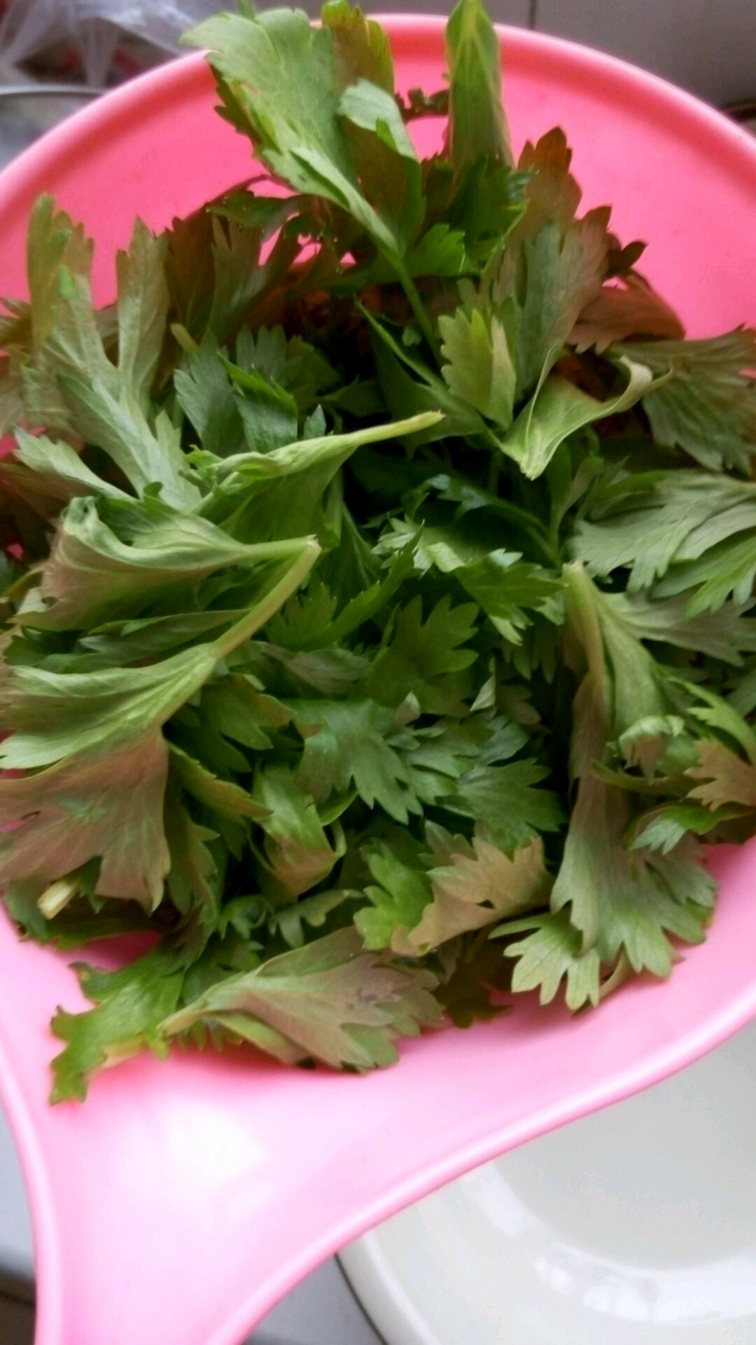 凉拌芹菜叶怎么做_凉拌芹菜叶的做法_豆果美食