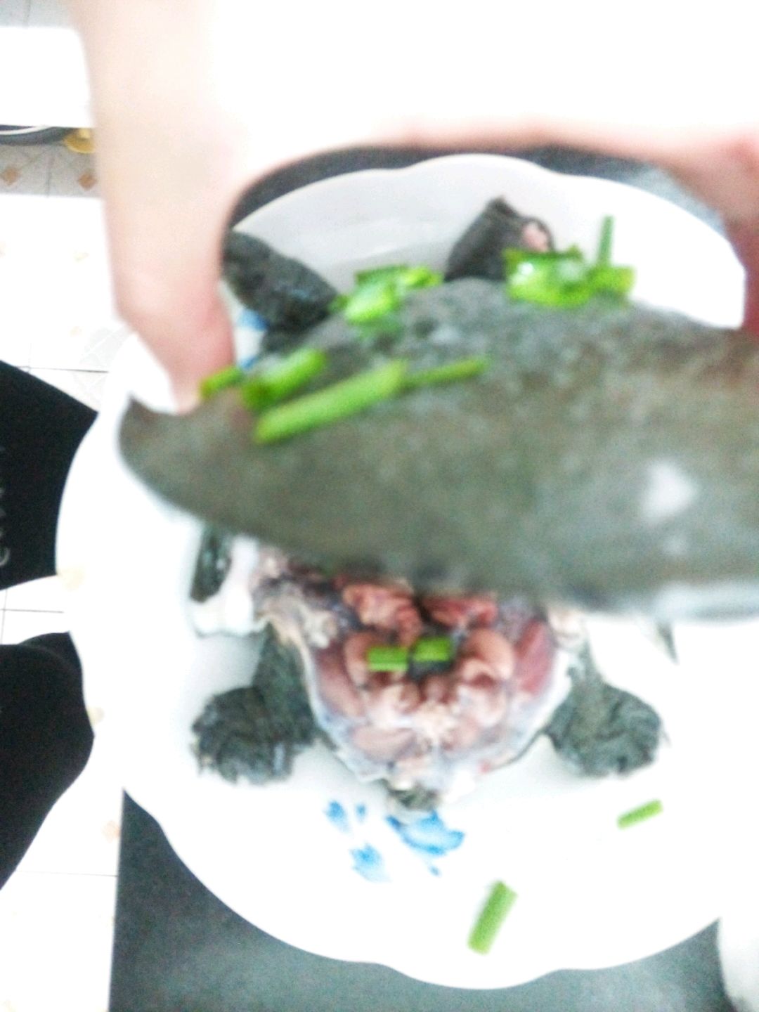 清蒸甲鱼怎么做_清蒸甲鱼的做法_豆果美食