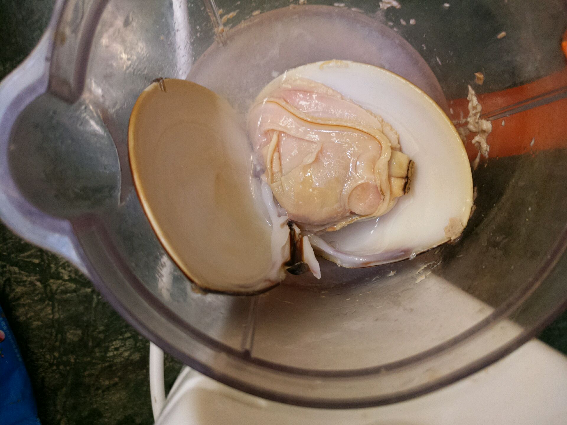 海蚌蒸蛋的做法_【图解】海蚌蒸蛋怎么做如何做好吃_海蚌蒸蛋家常做法大全__阿力_豆果美食