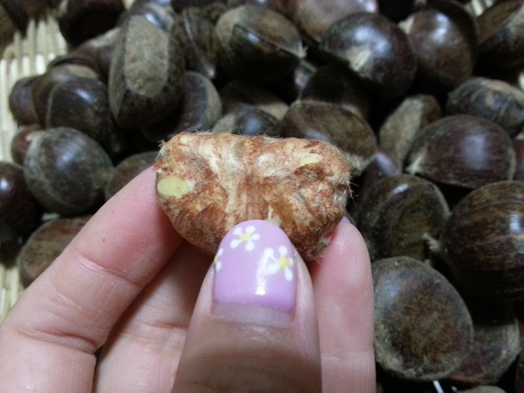我买过一次大板栗,辛辛苦苦半天,剥完外壳,煮了5分钟,挨着栗子肉的那