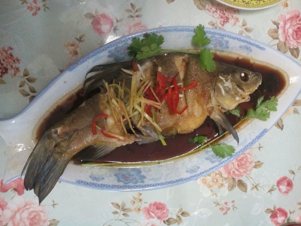 清蒸丁桂鱼