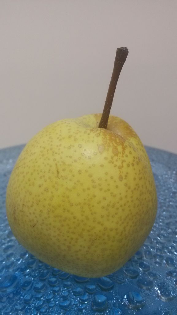 ѩʻ
