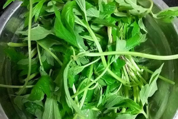 鸡蛋怎么做如何做好吃_益母草鸡蛋家常做法大全_pcy紫紫_豆果美食