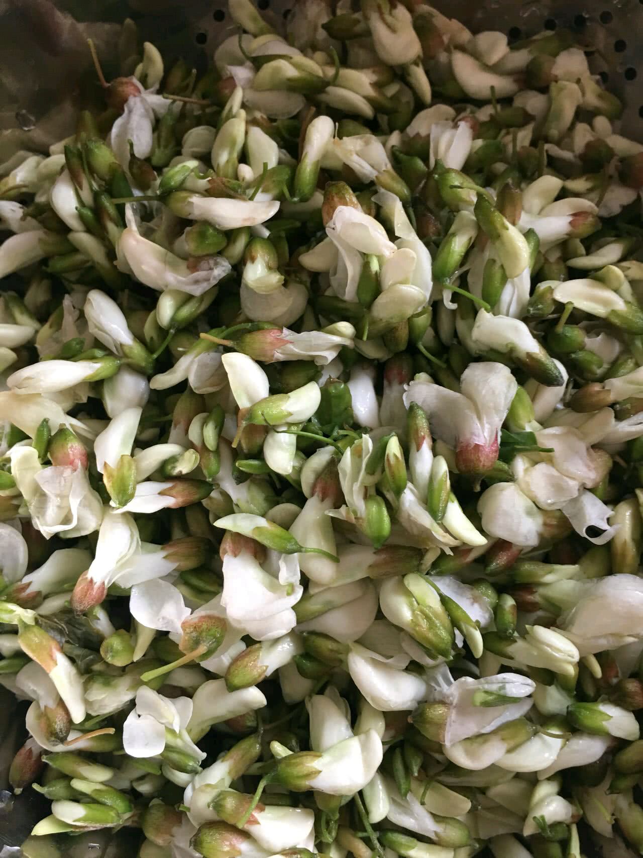 槐花玉米饼怎么做_槐花玉米饼的做法_豆果美食