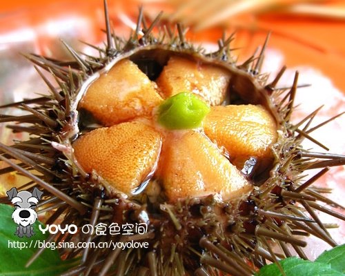 海胆刺身怎么做_海胆刺身的做法_yoyo食色空间_豆果美食