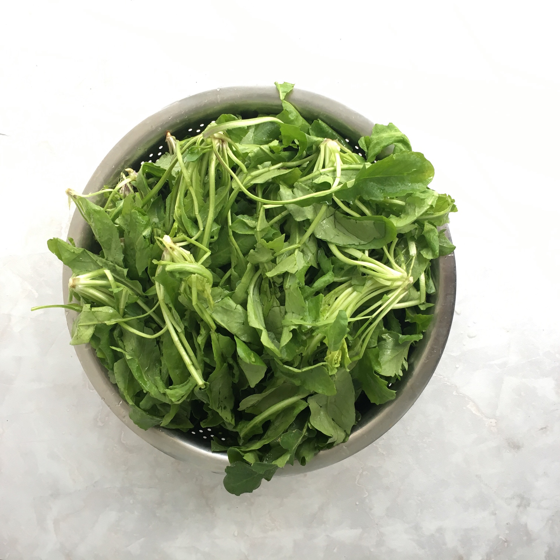 荠菜鲜肉饺子