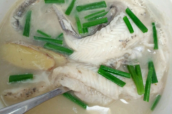 龙头鱼(豆腐鱼)汤的做法