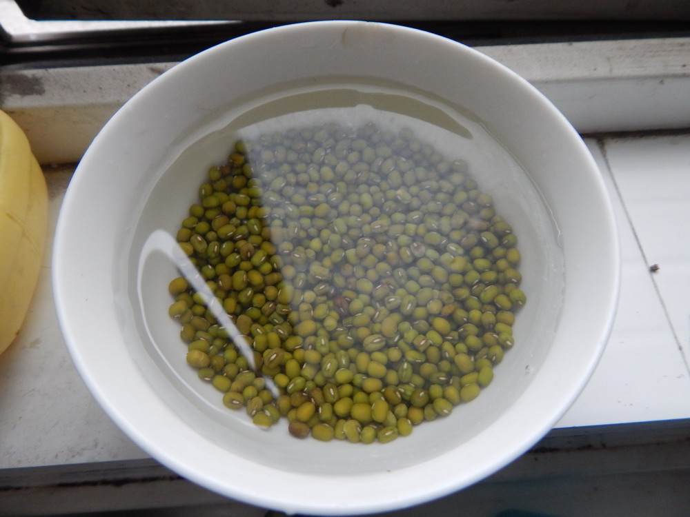 自发绿豆芽的做法图解2