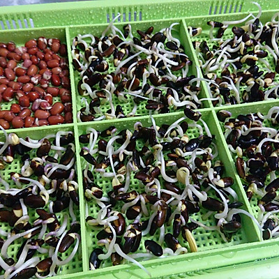 天贝酱·黑豆苗-蜜桃爱营养师的super food健身减肥