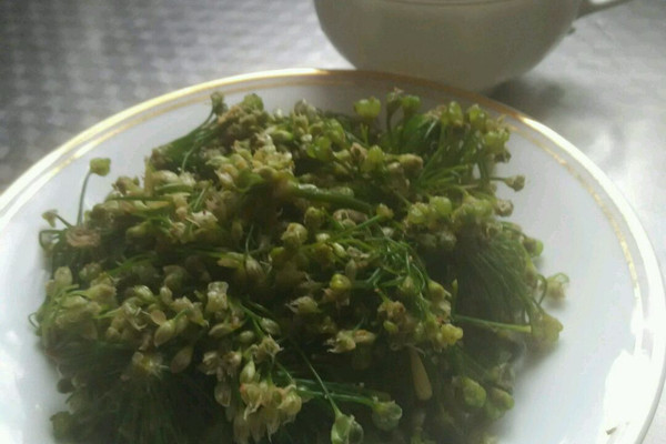 韭菜花腌制方法_如何腌制韭菜花